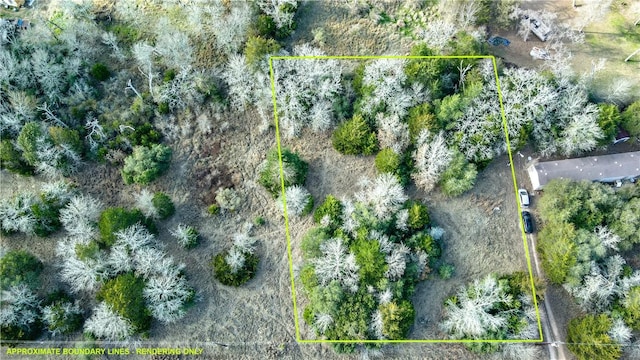 597 Cranberry Rd, Somerville TX, 77879 land for sale