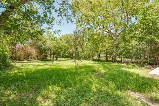 814 Beck St, Bryan, TX 77803 - photo 31
