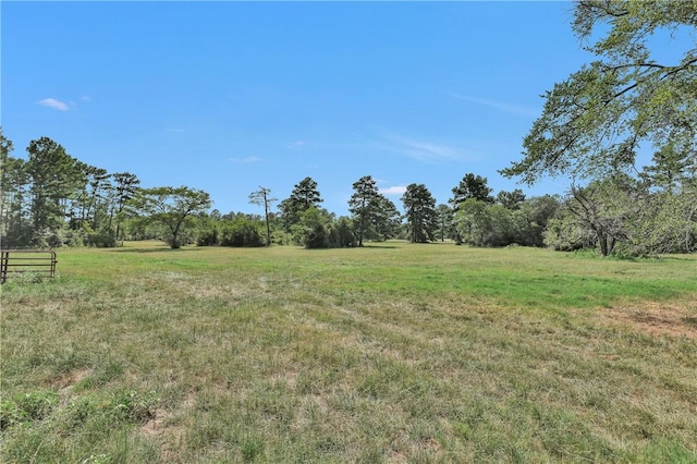 15487 County Road 228, Bedias, TX 77831 - photo 19