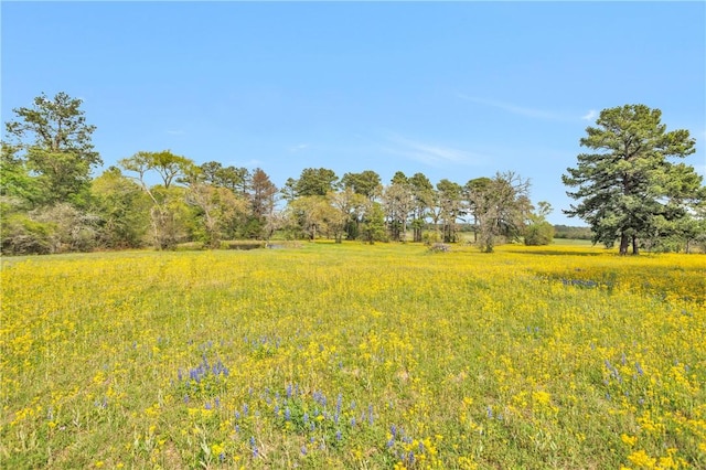 15487 County Road 228, Bedias, TX 77831 - photo 10
