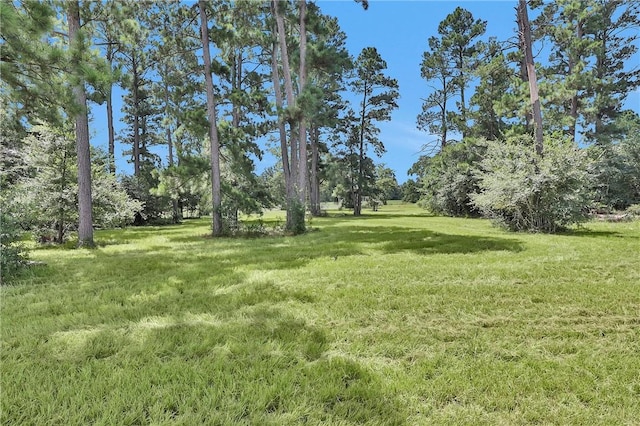 15487 County Road 228, Bedias, TX 77831 - photo 46