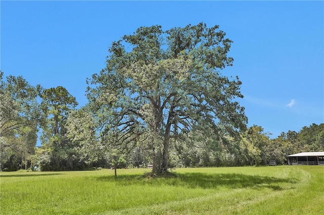 15487 County Road 228, Bedias, TX 77831 - photo 44