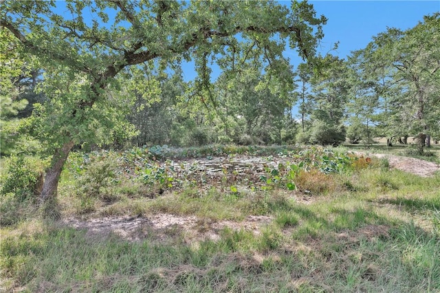 15487 County Road 228, Bedias, TX 77831 - photo 36