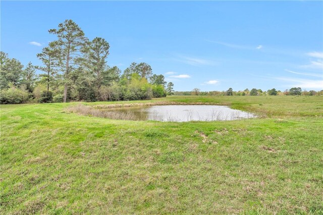 15487 County Road 228, Bedias, TX 77831 - photo 17