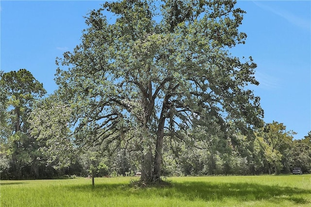 15487 County Road 228, Bedias, TX 77831 - photo 45