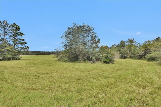 15487 County Road 228, Bedias, TX 77831 - photo 42