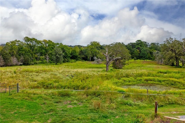 view of local wilderness featuring a rural view