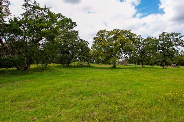 view of yard featuring a rural view