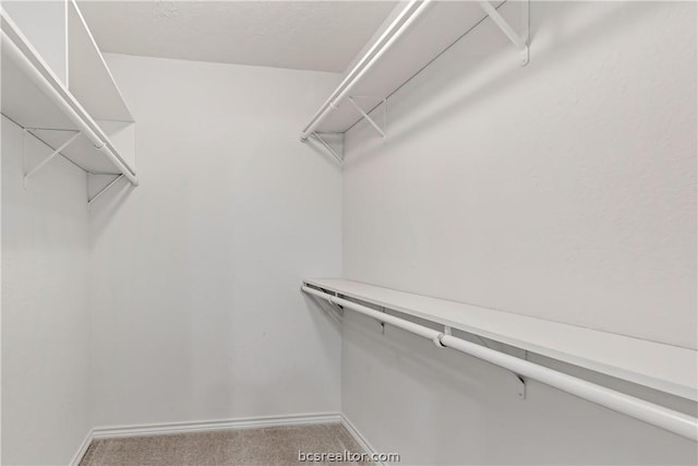 spacious closet with carpet flooring