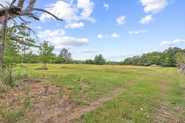 view of landscape featuring a rural view