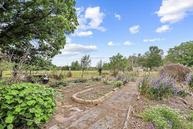 view of yard with a vegetable garden and a rural view