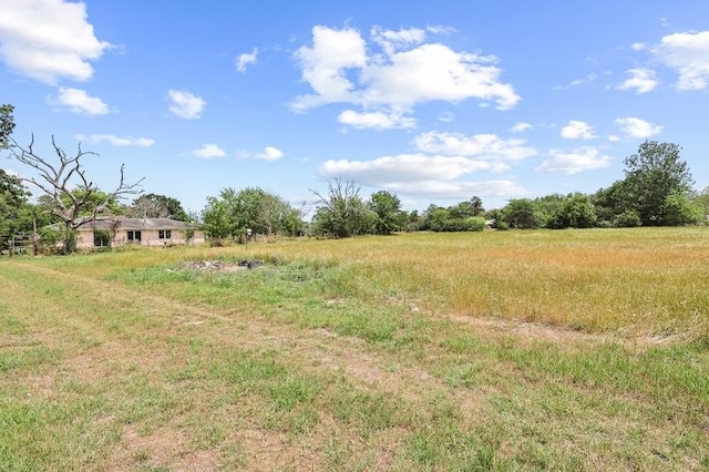 view of yard featuring a rural view