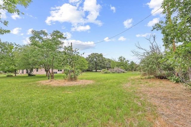 view of yard