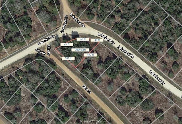 LOT1 Ellis Dr, Hilltop Lakes TX, 77871 land for sale