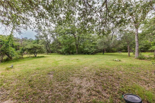 16414 Calumet Trl, College Station, TX 77845 - view of grassy yard