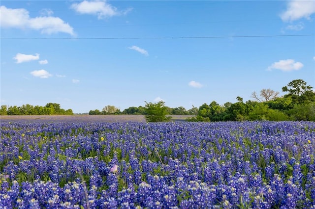 000 County Road 405, Navasota, TX 77868