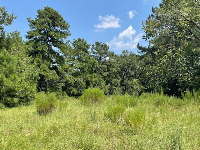 Listing photo 3 for TBD Fm 39, Bedias TX 77831