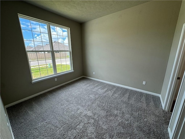 spare room with carpet and a textured ceiling