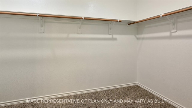 spacious closet featuring carpet flooring