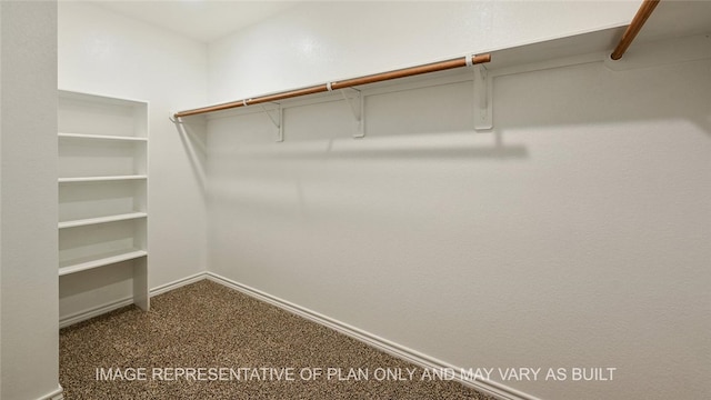 spacious closet featuring carpet flooring