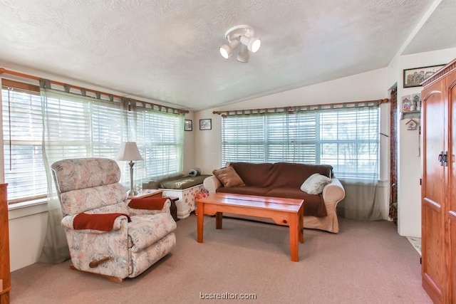 carpeted living room with a healthy amount of sunlight, a textured ceiling, and vaulted ceiling