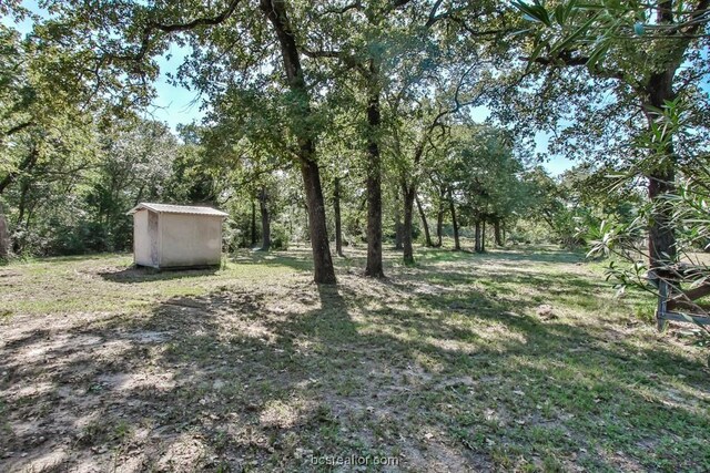 view of yard with a shed