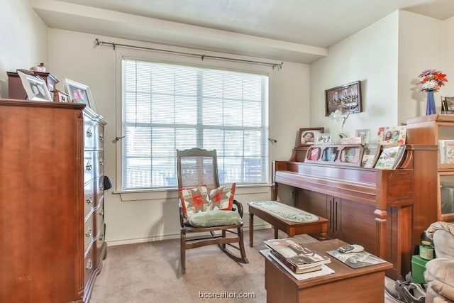 living area with light carpet and a healthy amount of sunlight