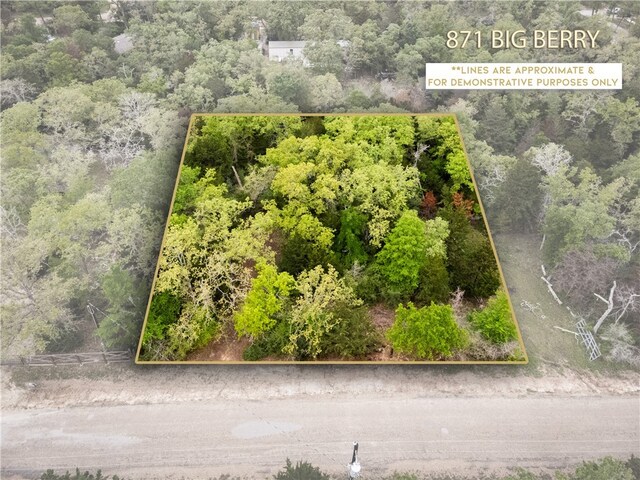 871 Big Berry Rd, Somerville TX, 77879 land for sale