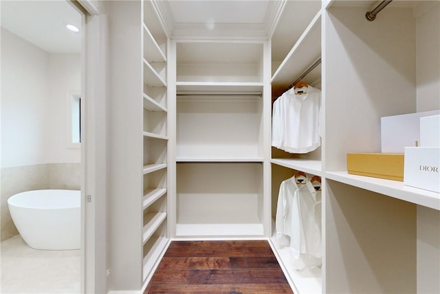 spacious closet with dark hardwood / wood-style flooring