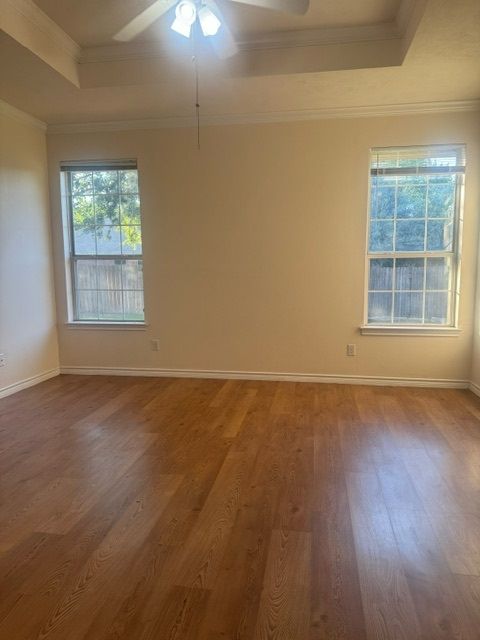 spare room featuring hardwood / wood-style floors, plenty of natural light, crown molding, and a tray ceiling