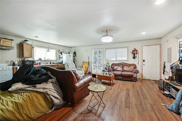 living room with a textured ceiling, crown molding, sink, wood-type flooring, and electric panel