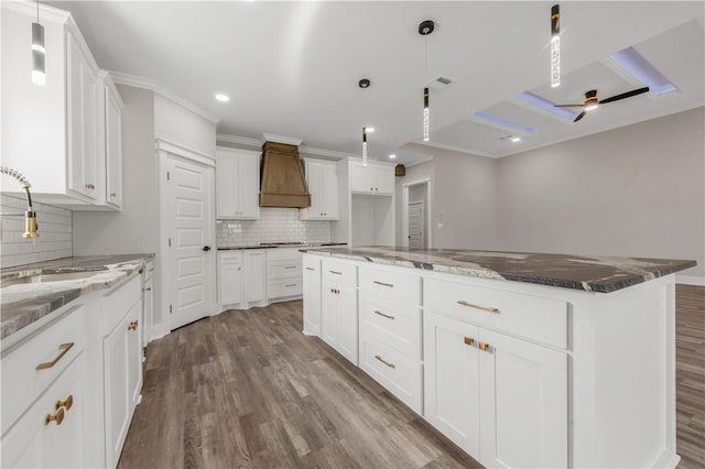 2916 Bombay Ct, Bryan, TX 77808 - kitchen with a sink, custom range hood, decorative backsplash, wood finished floors, and dark stone counters