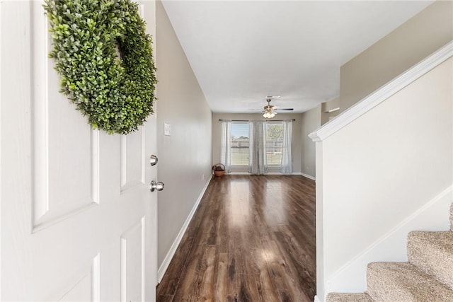 foyer featuring ceiling fan and dark wood-type flooring