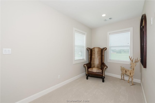 living area featuring light colored carpet