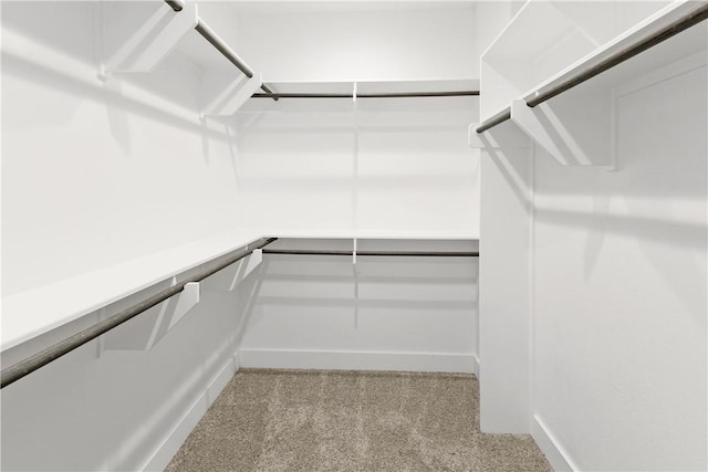 walk in closet with light carpet