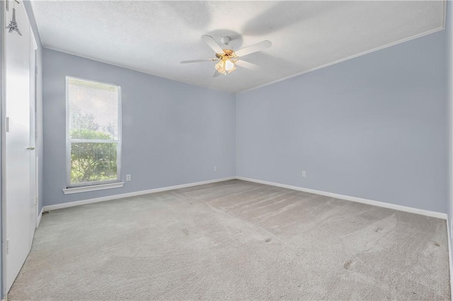 608 Plano Dr, College Station, TX 77845 - photo 17
