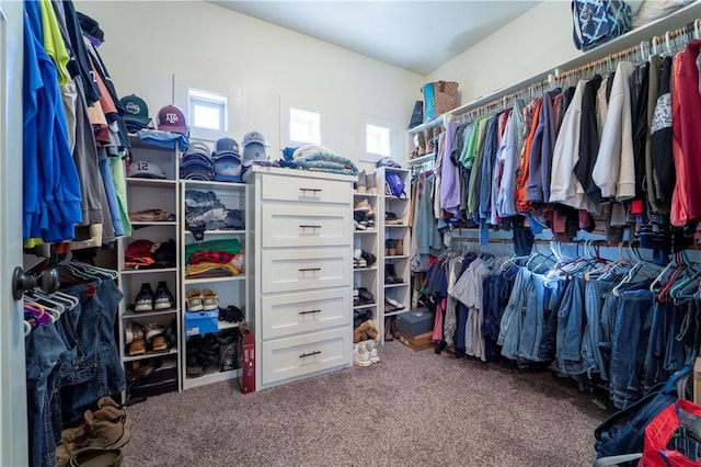 spacious closet with carpet