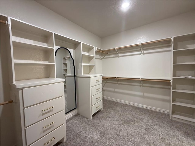 3201 Hunters Crossing Trl, Bryan, TX 77808 - photo 26