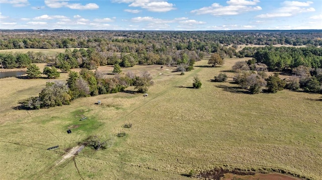 drone / aerial view featuring a rural view