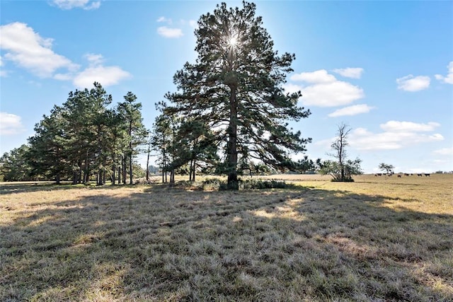 view of landscape featuring a rural view