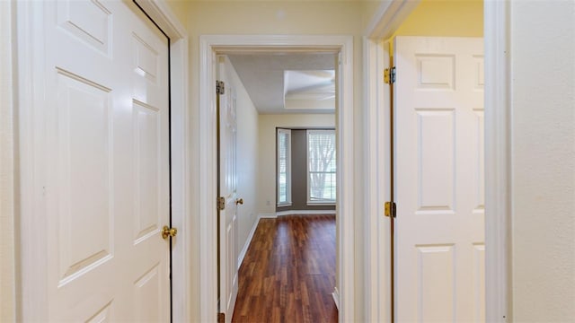 hallway with dark wood-type flooring