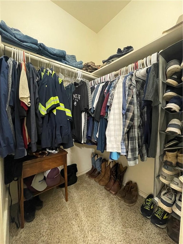 spacious closet featuring carpet floors