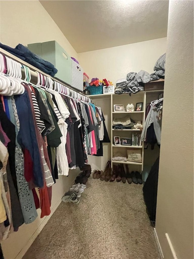 view of spacious closet