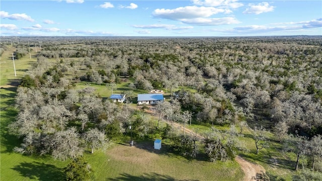 3520 Sykora Rd, Fayetteville, TX 78940 - drone / aerial view with a forest view