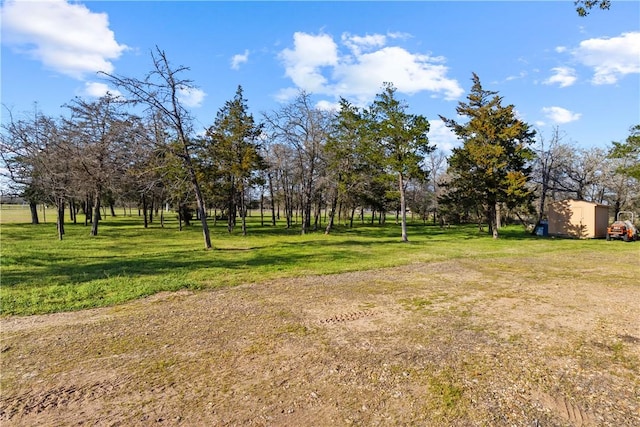 3520 Sykora Rd, Fayetteville, TX 78940 - view of yard