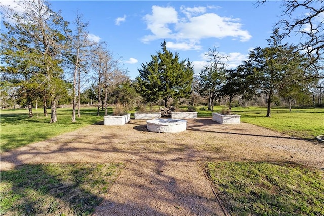 3520 Sykora Rd, Fayetteville, TX 78940 - view of yard featuring a vegetable garden