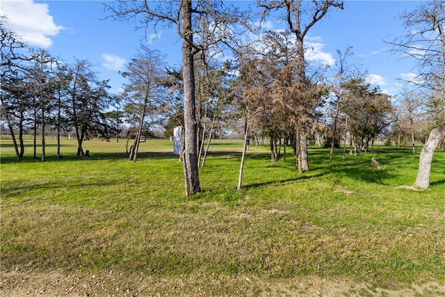 3520 Sykora Rd, Fayetteville, TX 78940 - view of yard