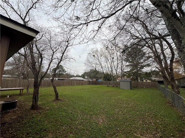 view of yard with a storage unit