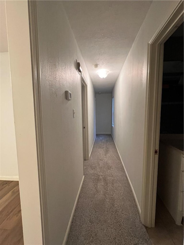 hallway featuring light carpet and a textured ceiling