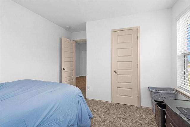 1147 Buffalograss Trl, Sealy, TX 77474 - view of carpeted bedroom